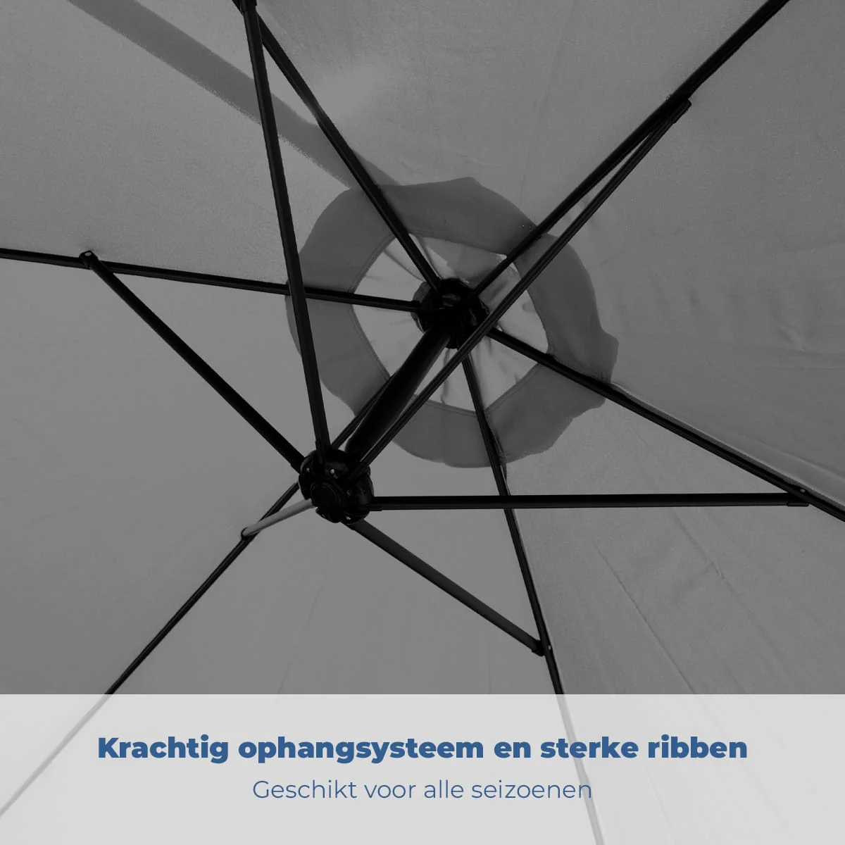 Productafbeelding 13